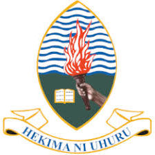 UDSM Logo